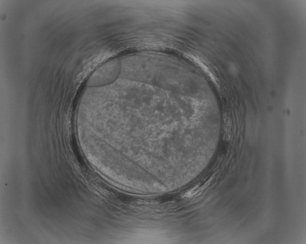 X0000087360487200705181155