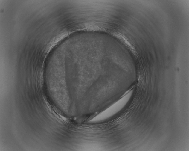 X0000087360488200705181155