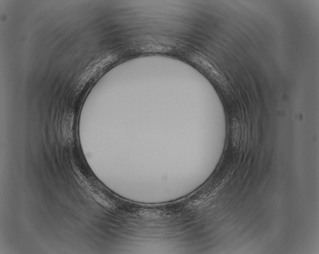 X0000087360490200705181155