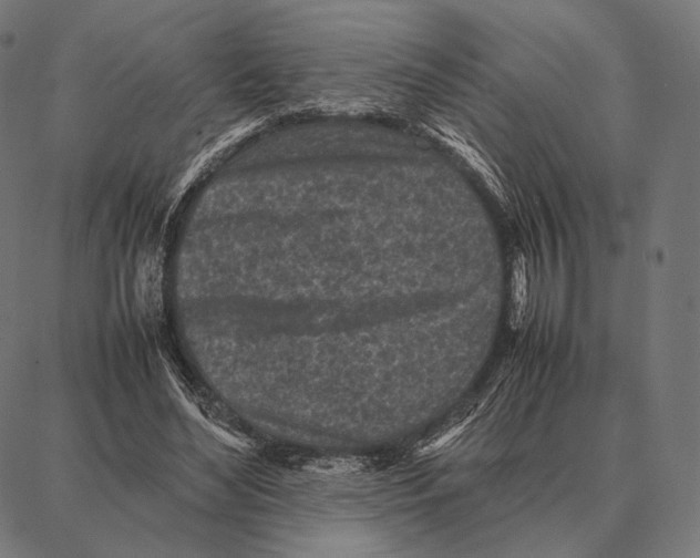 X0000087360492200705181155