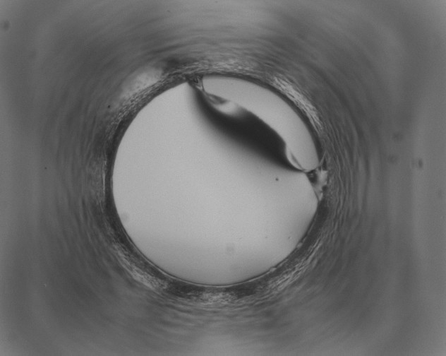 X0000087360493200705181155