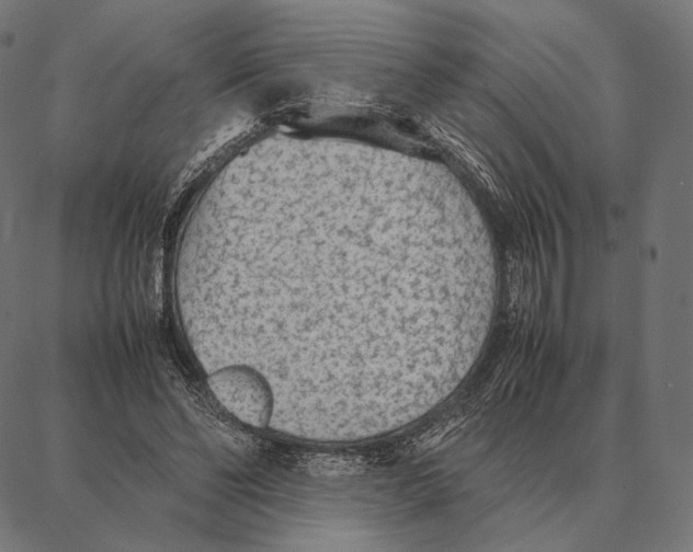 X0000087360494200705181155