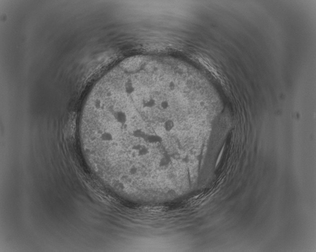 X0000087360495200705181155