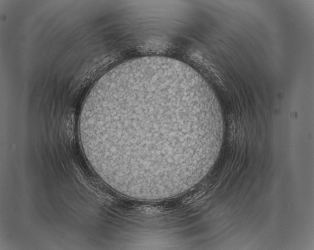 X0000087360498200705181155