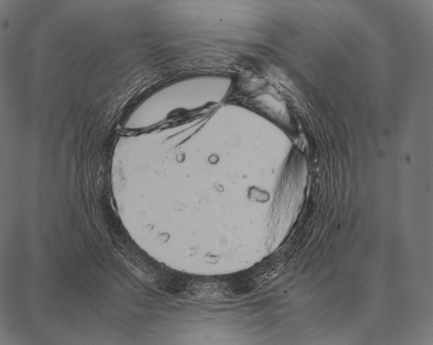 X0000087360499200705181155