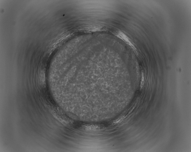 X0000087360500200705181155