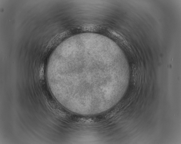 X0000087360502200705181155