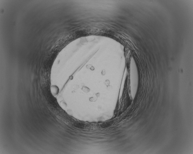 X0000087360503200705181155