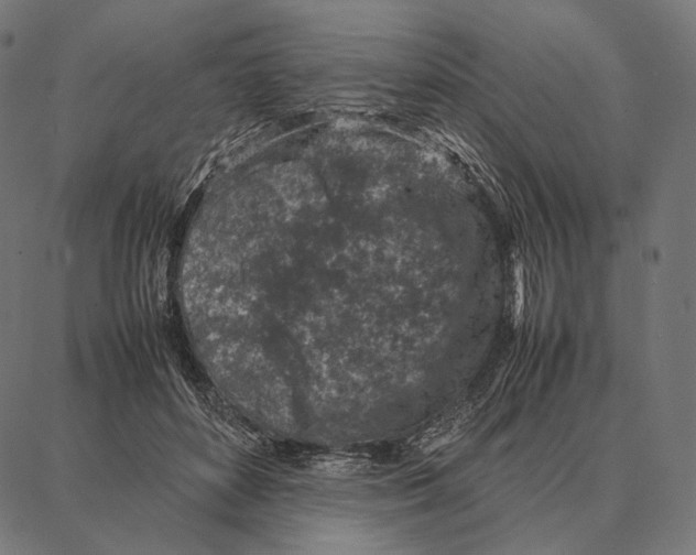 X0000087360504200705181155