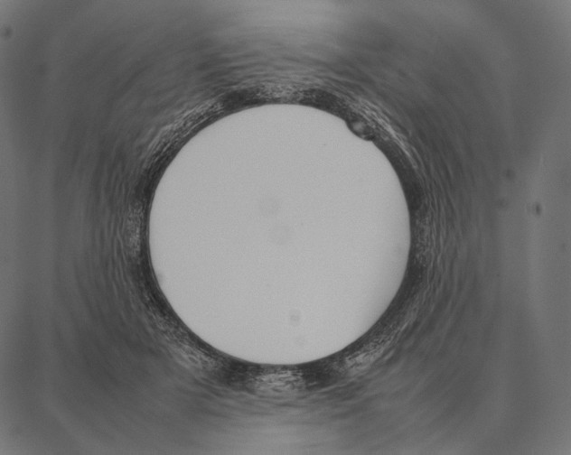 X0000087360505200705181155