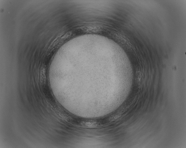 X0000087360506200705181155