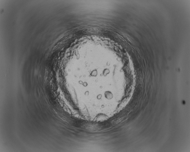 X0000087360507200705181155