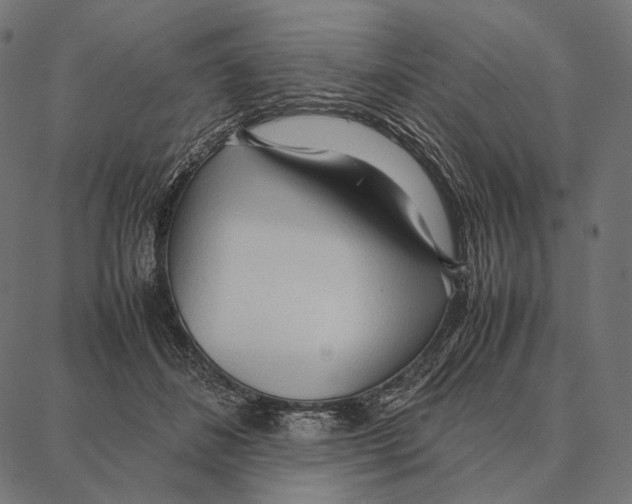 X0000087360508200705181155