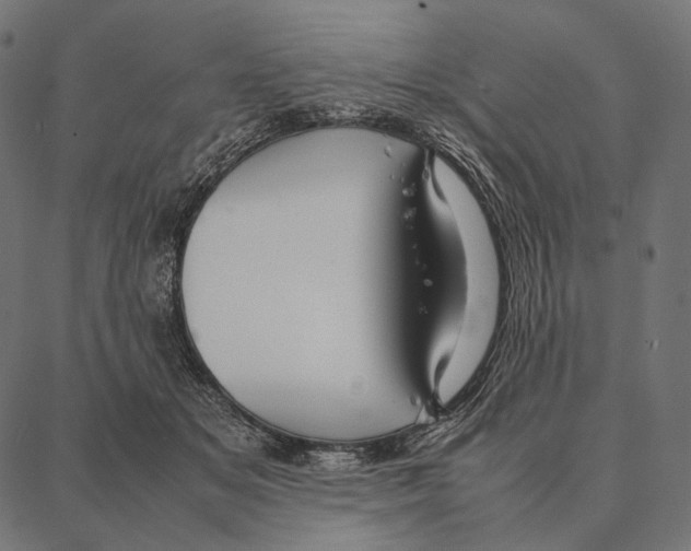 X0000087360509200705181155