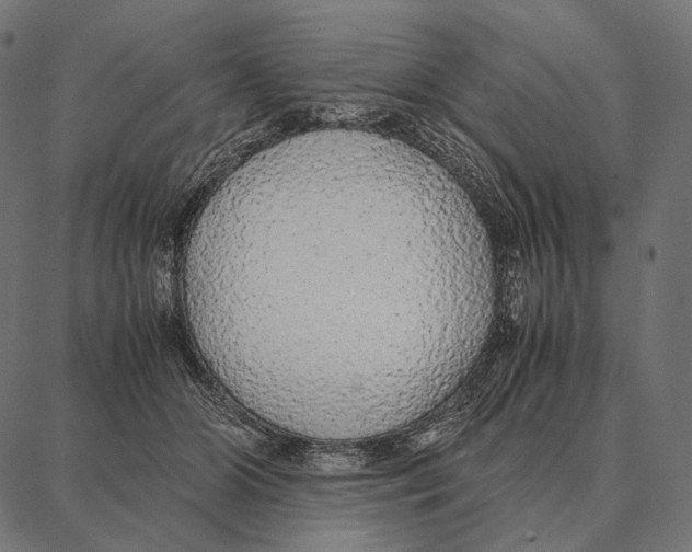 X0000087360510200705181155