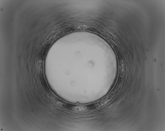 X0000087360511200705181155