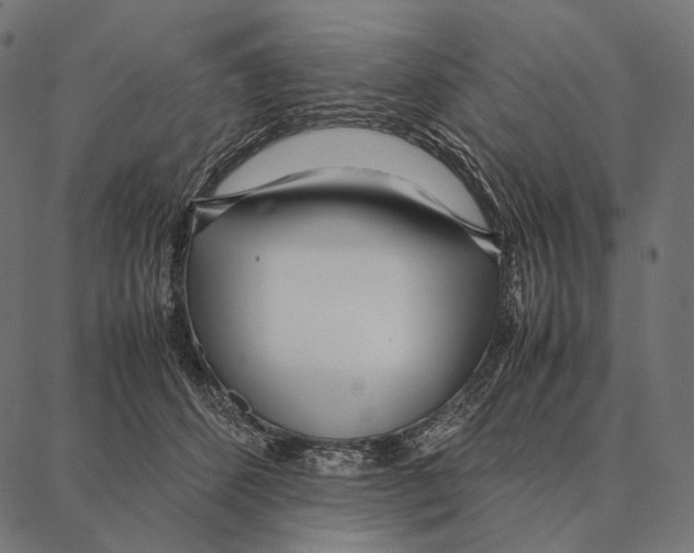 X0000087360512200705181155