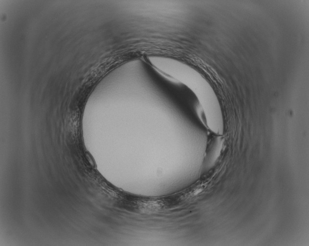 X0000087360513200705181155