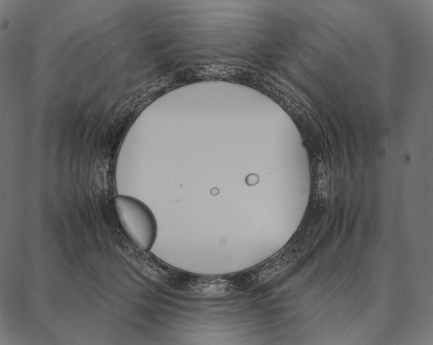 X0000087360514200705181155