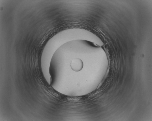 X0000087360516200705181155