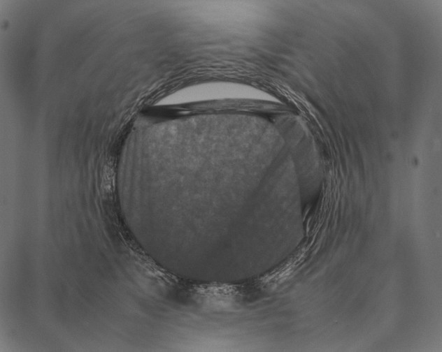 X0000087360517200705181155