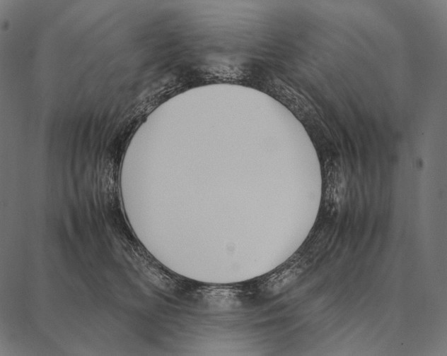 X0000087360518200705181155