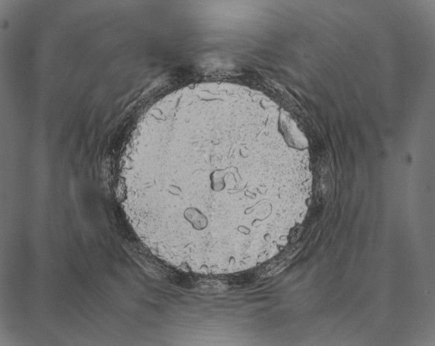 X0000087360519200705181155