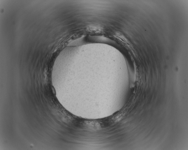 X0000087360520200705181155