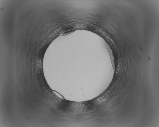 X0000087360521200705181155