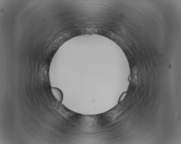 X0000087360522200705181155