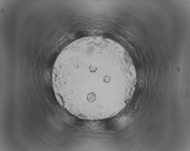 X0000087360523200705181155