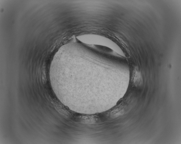 X0000087360524200705181154