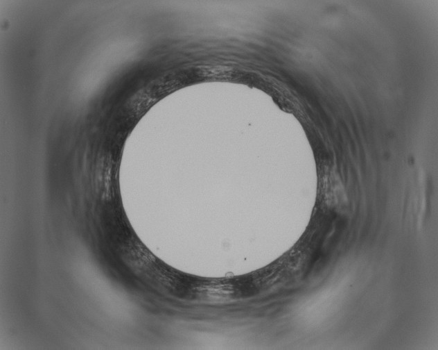 X0000087360525200705181154