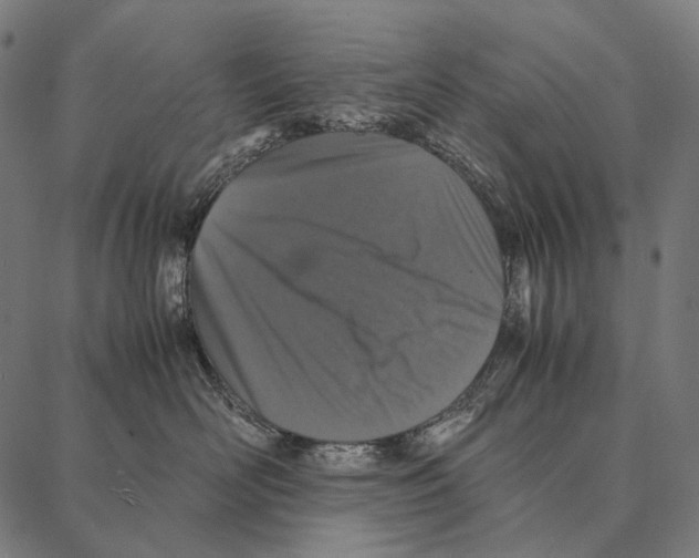 X0000087360526200705181154