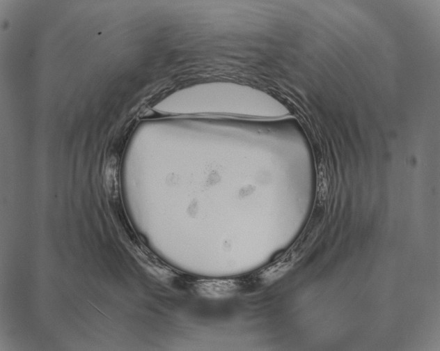 X0000087360527200705181154