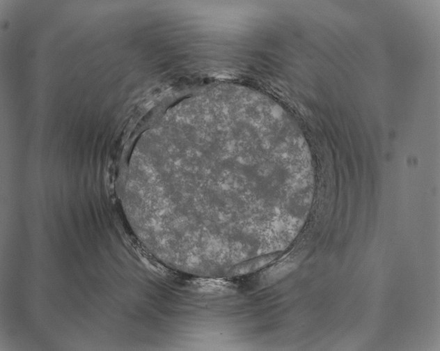 X0000087360528200705181154