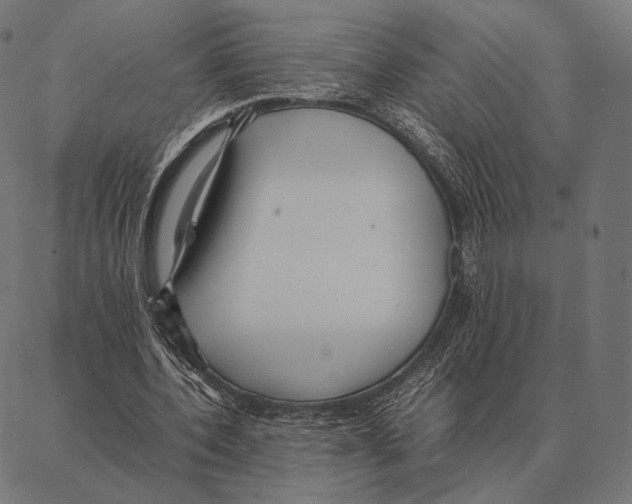 X0000087360532200705181154