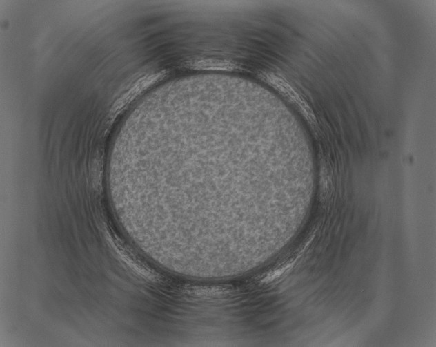 X0000087360533200705181154