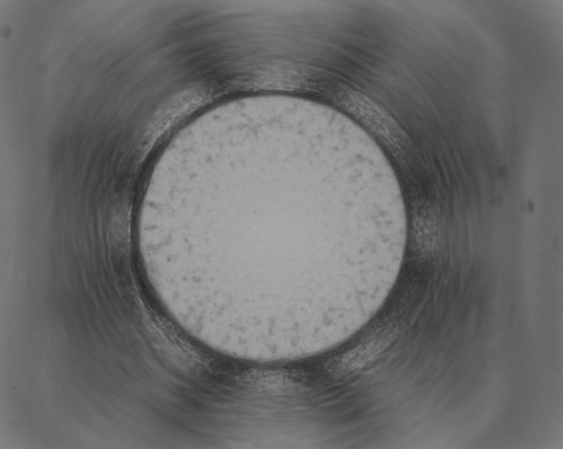 X0000087360534200705181154