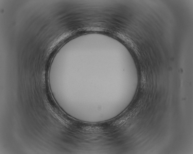 X0000087360535200705181154