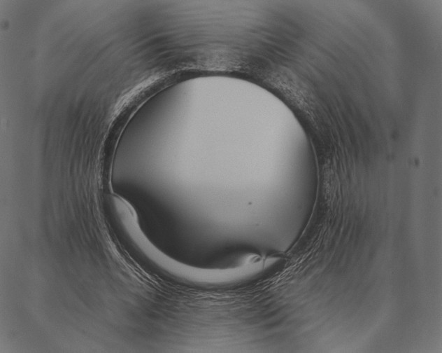 X0000087360536200705181154