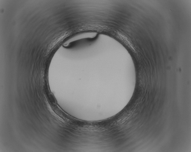 X0000087360538200705181154