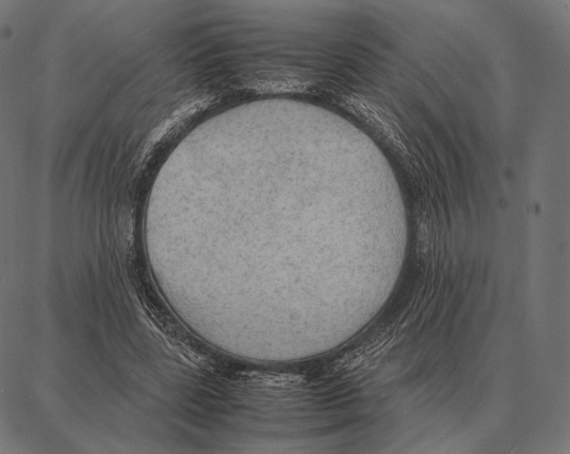 X0000087360539200705181154