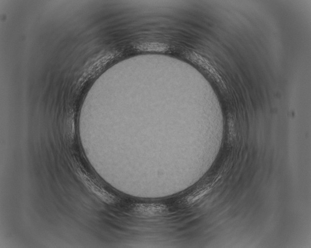 X0000087360541200705181154