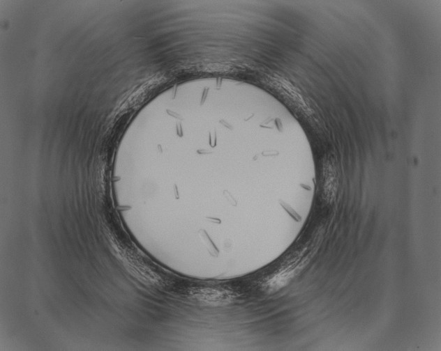 X0000087360542200705181154