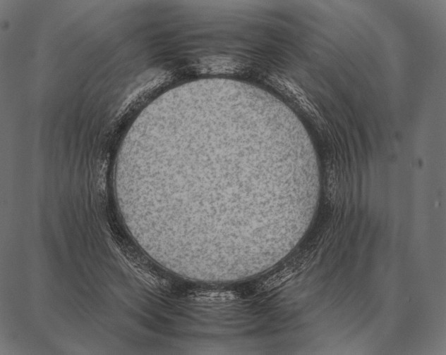 X0000087360543200705181154