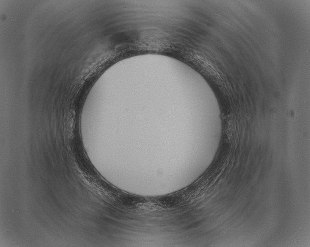 X0000087360544200705181154