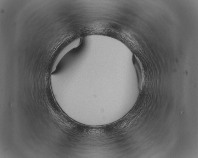 X0000087360546200705181154