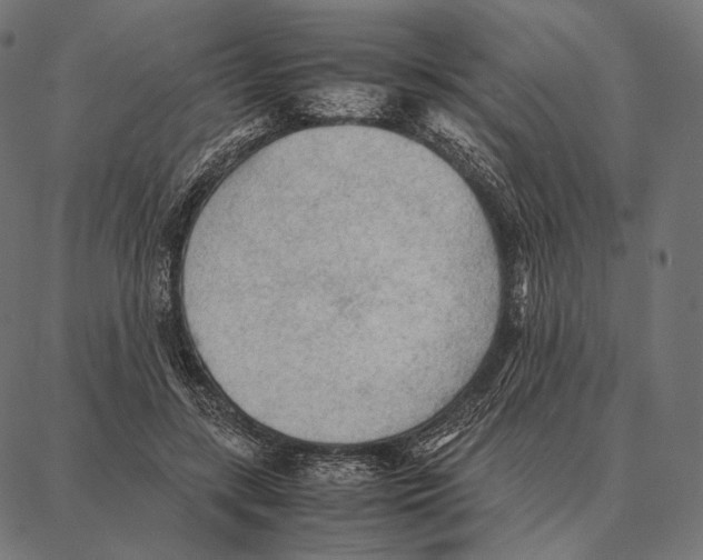 X0000087360547200705181154