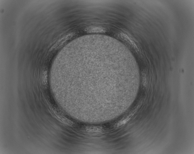 X0000087360549200705181154